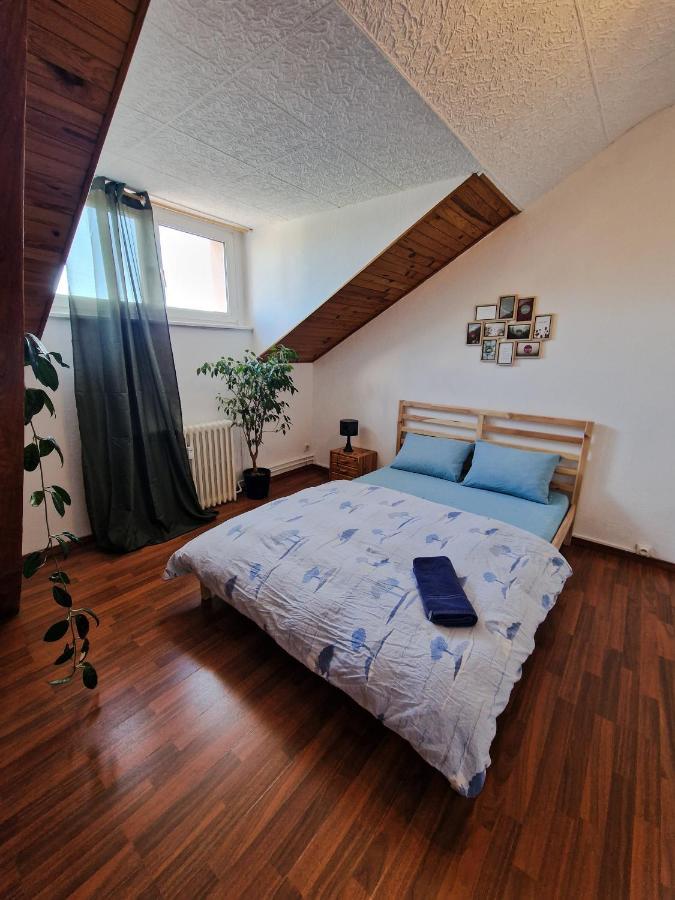 Beautiful Aparment Next To The Border 4 Room Saint-Louis (Haut-Rhin) Exterior foto