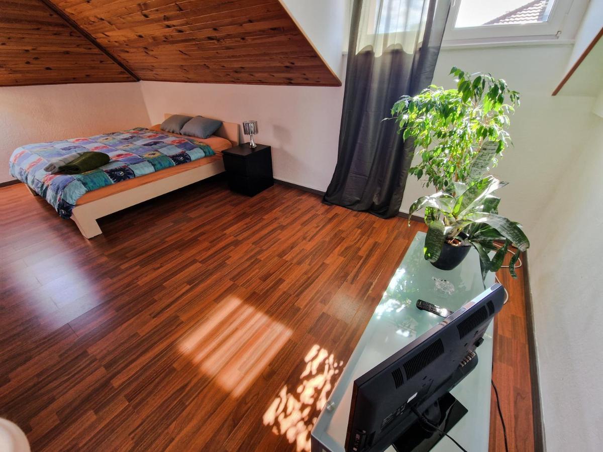 Beautiful Aparment Next To The Border 4 Room Saint-Louis (Haut-Rhin) Exterior foto