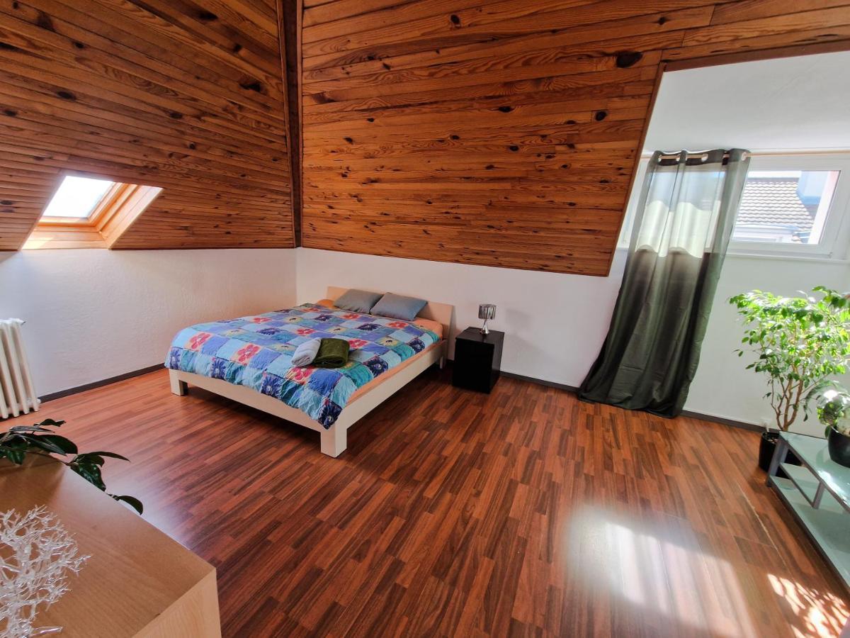 Beautiful Aparment Next To The Border 4 Room Saint-Louis (Haut-Rhin) Exterior foto